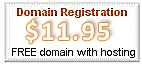 Domain Registration $11.95